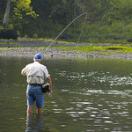photo of a fly fisherman, knee deep in the river