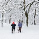 two people cross country skiing on a hiking trail