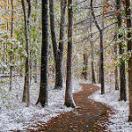 photo of a hiking path in a hardwood forest with snow on either side