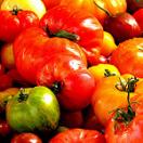 photo of a pile of various kinds of tomatos
