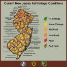 New Jersey Fall Foliage - week of 10-18-2021