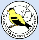 Gloucester County Nature Club logo: encircled yellow & black American Goldfinch sitting on branch  