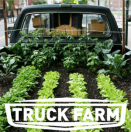 photo of a garden planted in the back of a pick up truck