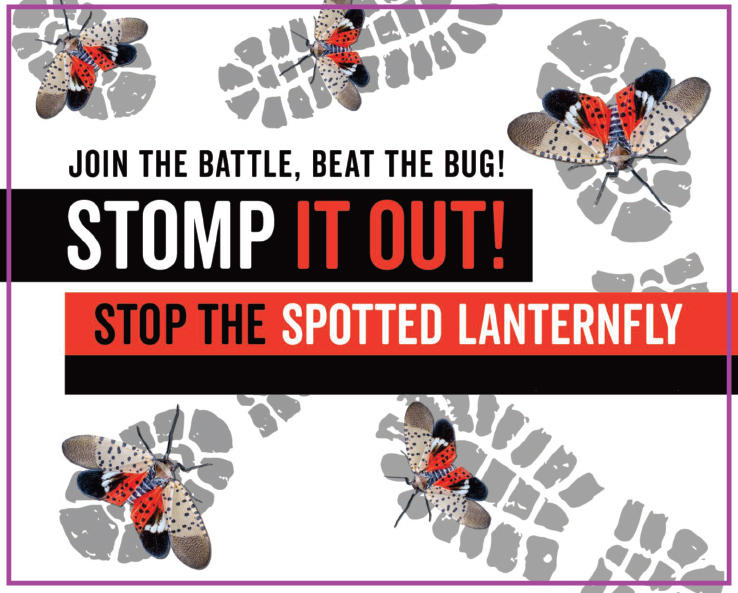 Text: "JOIN THE BATTLE, BEAT THE BUG! STOMP IT OUT! STOP THE SPOTTED LANTERNFLY" with images of bootprints over spotted lanternflies